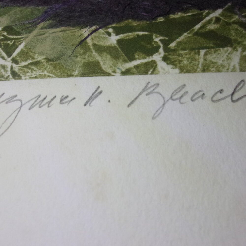 BRUCE BLEACH SIGNED ART - Picture 13 of 13